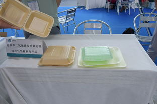 可降解饭盒与餐具 绿色未来的餐桌革命